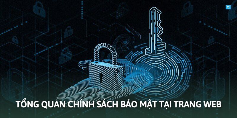 Thông tin cần biết về điều khoản chung trang xem bóng đá