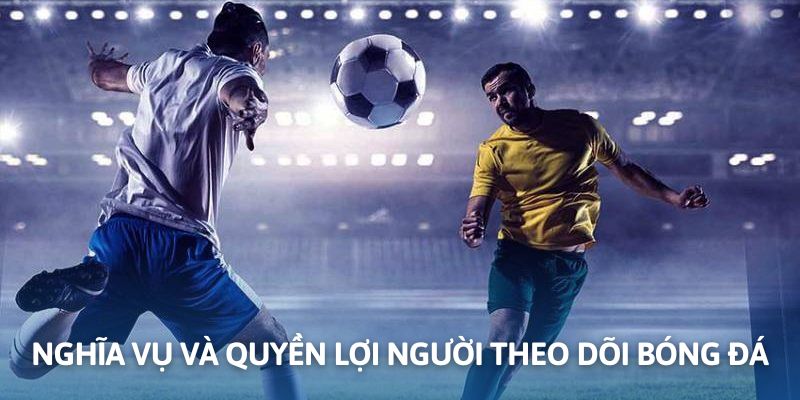 Quyền lợi và trách nhiệm dành cho những người theo dõi túc cầu